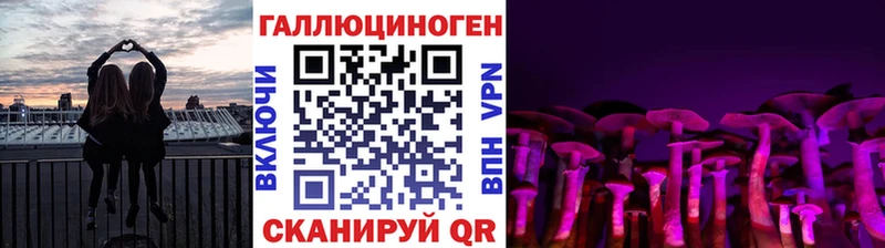 Псилоцибиновые грибы мицелий  Данилов 