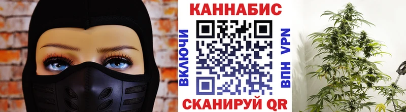 где продают   mega tor  МАРИХУАНА ГИДРОПОН  Данилов 